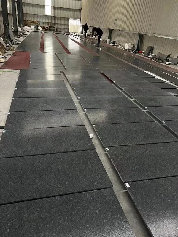 angola black granite flooring