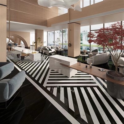 Cuarcita Negra Blanca